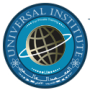 Universal Institute